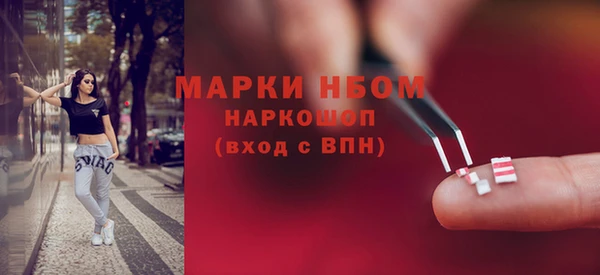 гашик Алексин