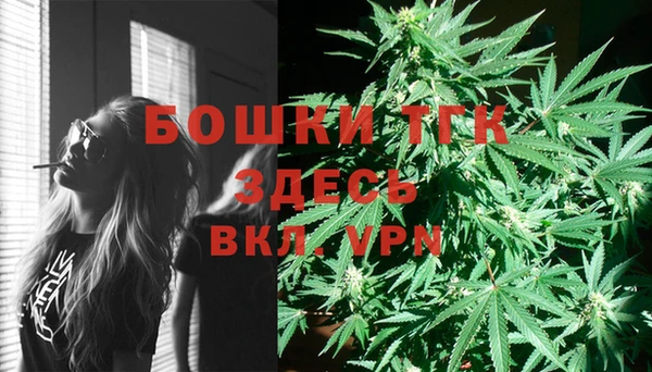 гашик Алексин